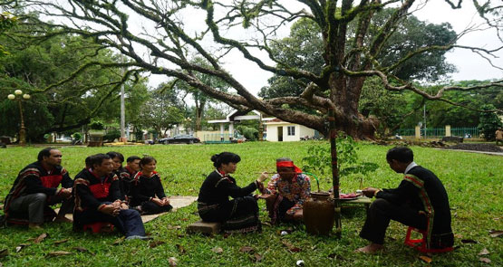 Restore the Spirit ritual before cutting down trees of the Ede ethnic people