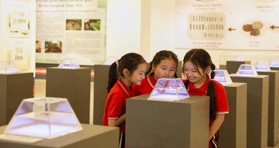 GIẢI PHÁP TRƯNG BÀY “SƯU TẬP MŨI KHOAN ĐÁ THÁC HAI”